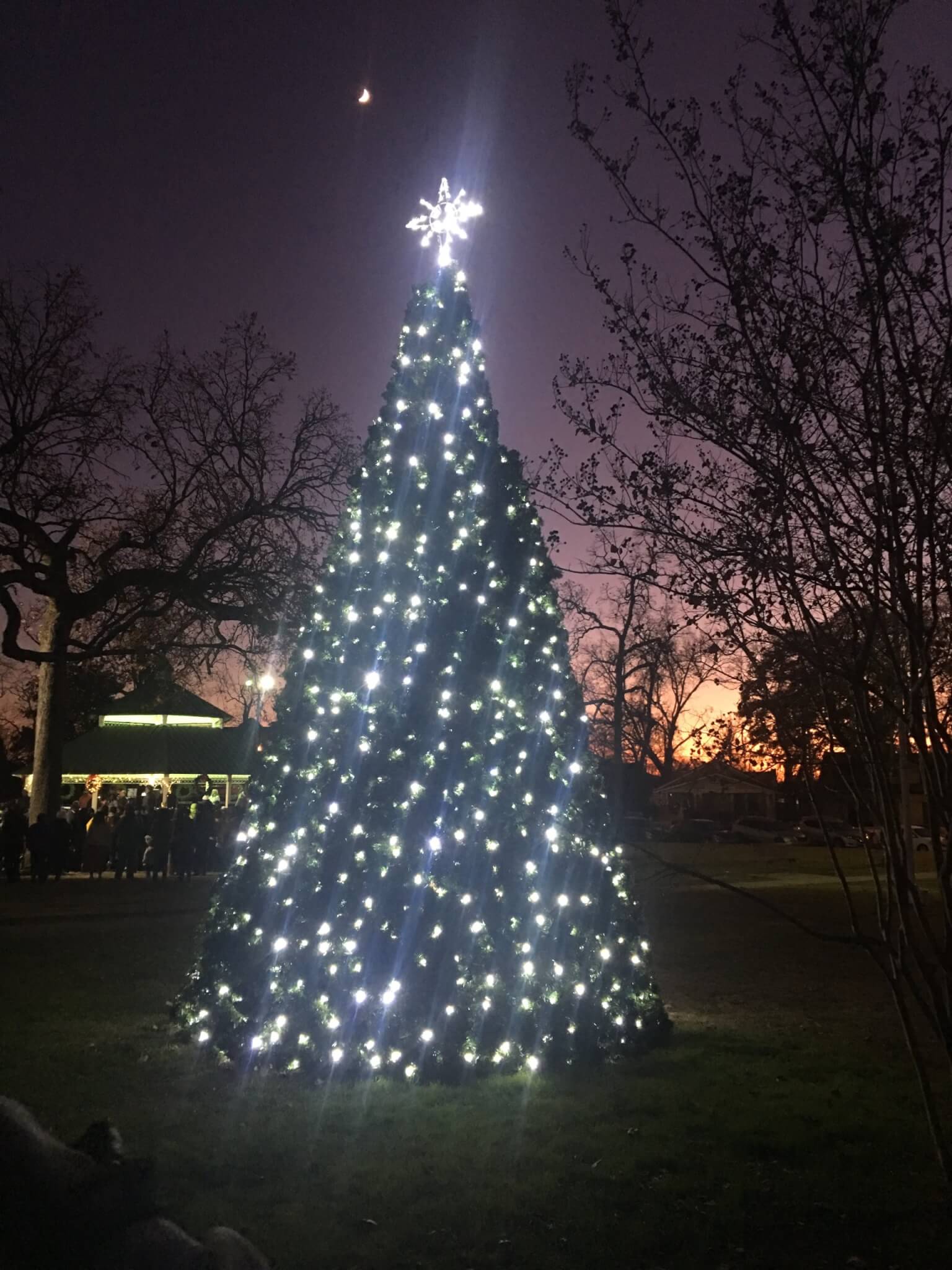 City Christmas Tree Lighting The City of Bessemer